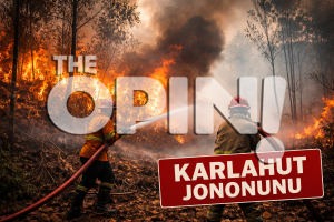 Karhutla Terjadi di Jononunu Parimo, Api Belum Berhasil Dipadamkan