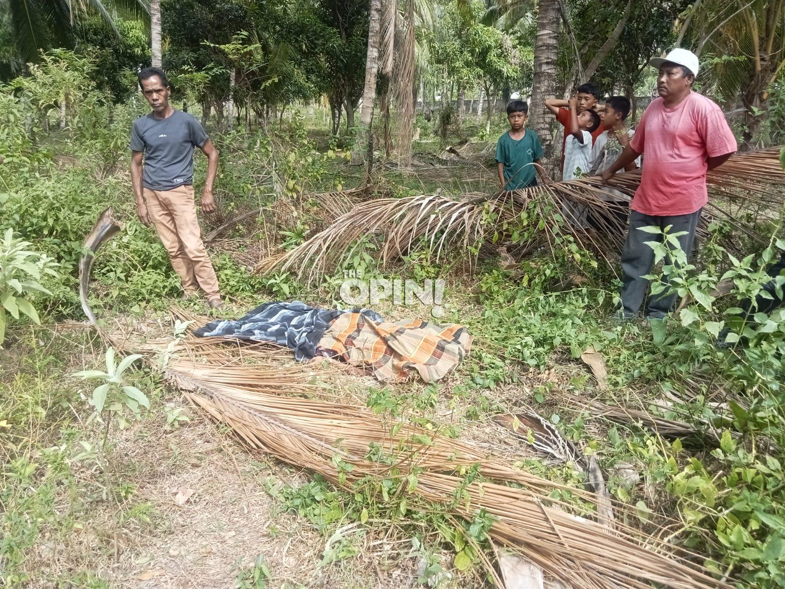 Warga Avolua Parimo Geger, Siswa SMP Ditemukan Tak Bernyawa di Perkebunan