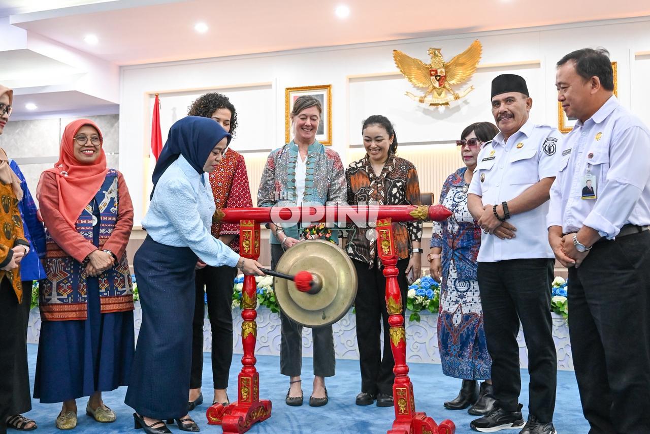 Novalina Dorong Sistem Pelaporan Terintegrasi, Nilai Program Kesehatan Belum Optimal