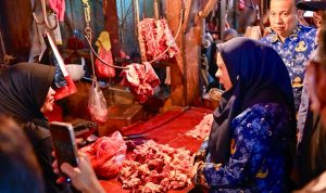 Harga Daging dan Ayam Naik, Pemprov Sulteng Pastikan Stok Pangan Masih Aman Jelang Lebaran Harga Daging dan Ayam Naik, Pemprov Sulteng Pastikan Stok Pangan Masih Aman Jelang Lebaran