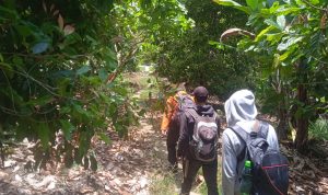 Pencarian Dua Pendaki Tersesat di Gunung Dako Masuki Hari Kedua Pencarian Dua Pendaki Tersesat di Gunung Dako Masuki Hari Kedua