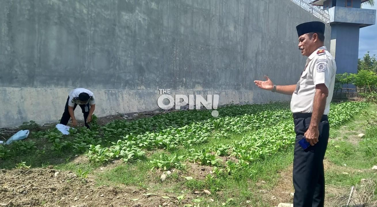 Hasil Kebun dan Ternak Warga Binaan Lapas Parigi Tembus Pasar