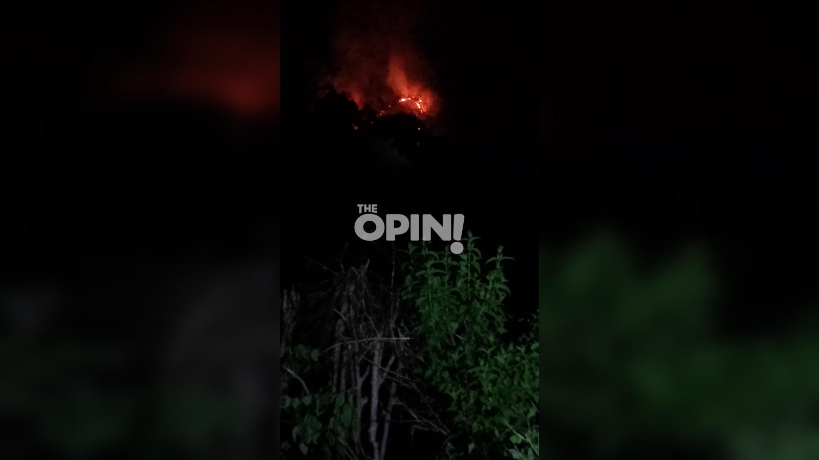 Karhutla Terjadi di Avolua, Tim BPBD Parimo Terkendala Akses Menuju Lokasi