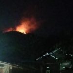 Karhutla Terjadi di Bukit Sanjubi Parimo, Api Masih Menyala