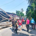 Pohon Tumbang di Kampal Parigi, Balita Tewas dan Dua Warga Luka-Luka