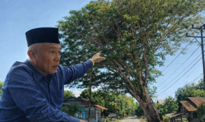 Pemda Parimo Segera Selamatkan 2 Rumah Warga di Sienjo dari Ancaman Pohon Tumbang