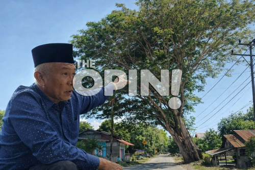 Pemda Parimo Segera Selamatkan 2 Rumah Warga di Sienjo dari Ancaman Pohon Tumbang