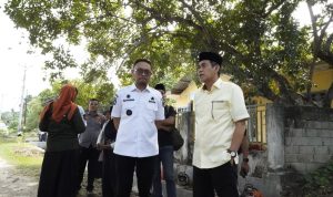 Bupati Parimo Instruksikan Pemangkasan dan Penggantian Pohon Pelindung Bupati Parimo Instruksikan Pemangkasan dan Penggantian Pohon Pelindung