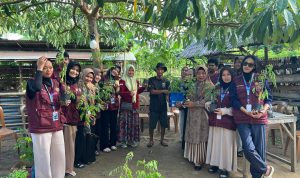 Kurangi Ketergantungan Pakan, Peternak Parimo Diajak Tanam Indigofera Kurangi Ketergantungan Pakan, Peternak Parimo Diajak Tanam Indigofera