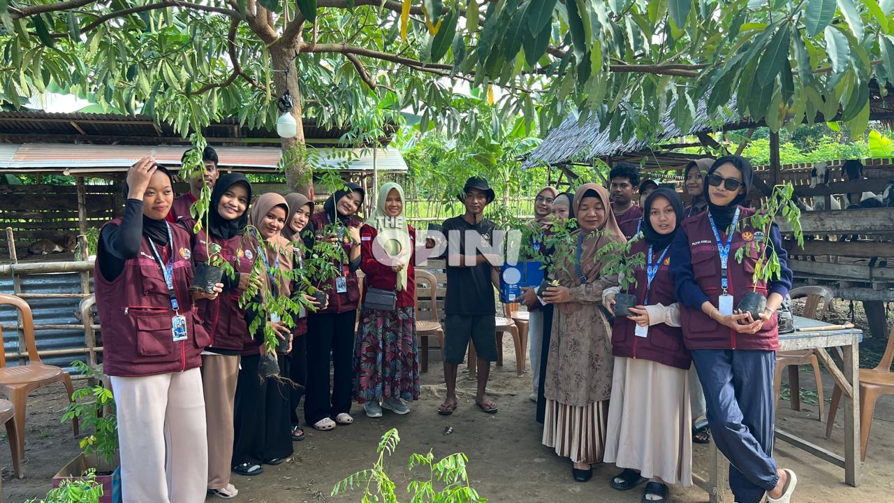 Kurangi Ketergantungan Pakan, Peternak Parimo Diajak Tanam Indigofera