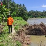 BPBD Parimo Catat Kondisi Terbaru Banjir di Moutong dan Taopa