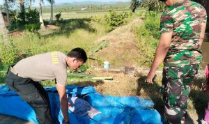 Warga Bolano Digegerkan Penemuan Mayat Pria di Selokan Warga Bolano Digegerkan Penemuan Mayat Pria di Selokan