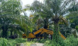Polisi Sita 7 Alat Berat Tanpa Pemilik di Lokasi PETI Ongka Malino