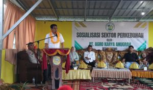 Bupati Parimo Dorong Pengembangan Pertanian dan Perkebunan Durian di Kasimbar Bupati Parimo Dorong Pengembangan Pertanian dan Perkebunan Durian di Kasimbar