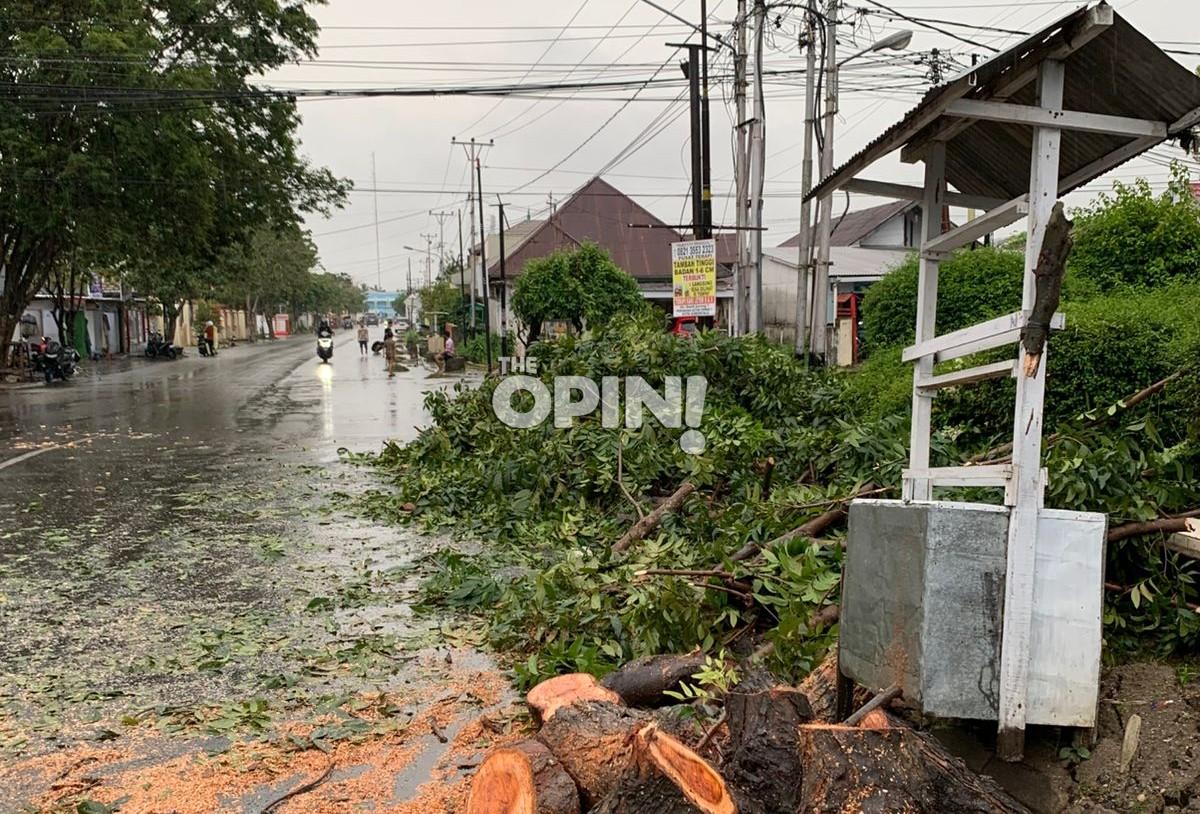 Pohon Tumbang di Jalan Sam Ratulangi Sempat Ganggu Akses Warga