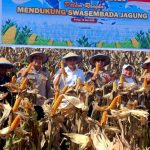 Pemda Parimo Fokus Benahi Kualitas Jagung, Gudang dan Dryer Segera Disiapkan
