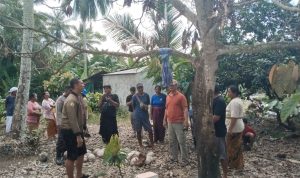Pria Lansia di Balinggi Parimo Tewas Tergantung di Pohon Mangga