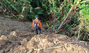 Lansia 80 Tahun Hilang di Kebun, Tim SAR Sisir Hutan hingga Aliran Sungai di Sojol Lansia 80 Tahun Hilang di Kebun, Tim SAR Sisir Hutan hingga Aliran Sungai di Sojol