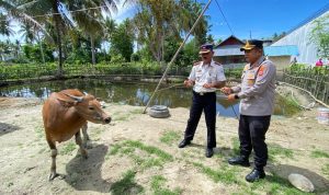 Polres Parimo Salurkan Hewan Kurban ke Ponpes dan Lapas Parigi
