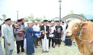 Pemprov Sulteng Salurkan 127 Hewan Kurban, Gubernur Anwar Hafid Ajak Perkuat Semangat Berbagi