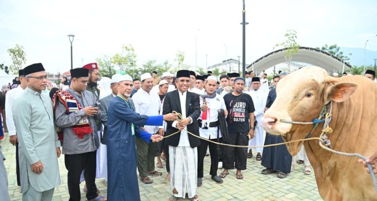 Pemprov Sulteng Salurkan 127 Hewan Kurban, Gubernur Anwar Hafid Ajak Perkuat Semangat Berbagi