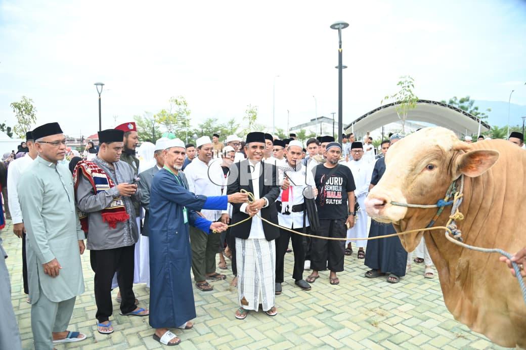 Pemprov Sulteng Salurkan 127 Hewan Kurban, Gubernur Anwar Hafid Ajak Perkuat Semangat Berbagi