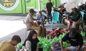 DPW PPP Sulteng Tebar Kepedulian Lewat Penyembelihan Hewan Kurban Iduladha 1447 H