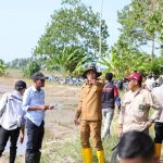 Pemulihan Sawah Pascabanjir, Pemda Parimo Siapkan 88,7 Ton Benih Padi untuk Petani