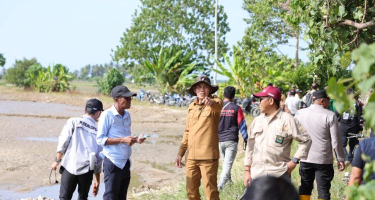 Pemulihan Sawah Pascabanjir, Pemda Parimo Siapkan 88,7 Ton Benih Padi untuk Petani