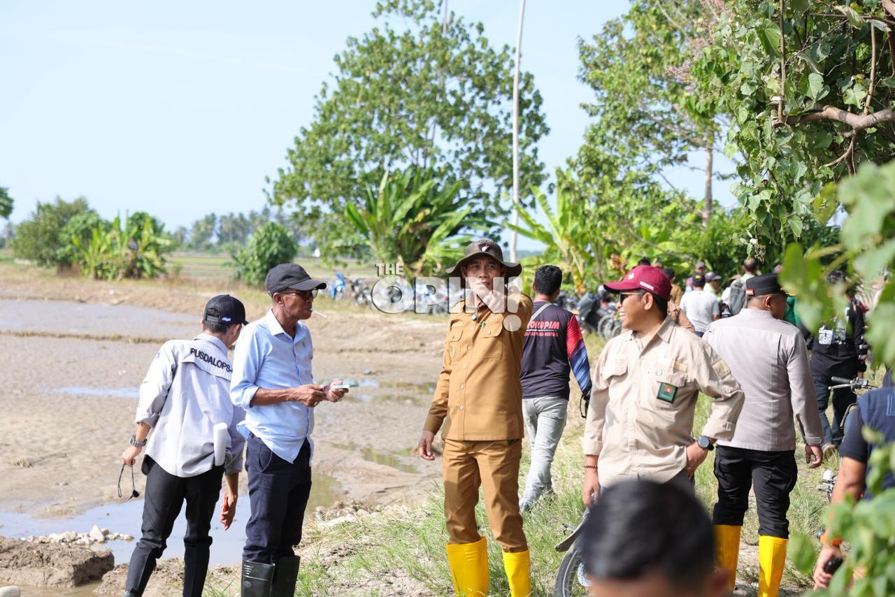 Pemulihan Sawah Pascabanjir, Pemda Parimo Siapkan 88,7 Ton Benih Padi untuk Petani
