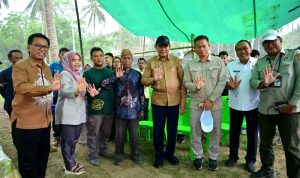 Gorontalo Siapkan Hilirisasi Kelapa, Kementan Salurkan 737 Ribu Bibit Unggul Gorontalo Siapkan Hilirisasi Kelapa, Kementan Salurkan 737 Ribu Bibit Unggul