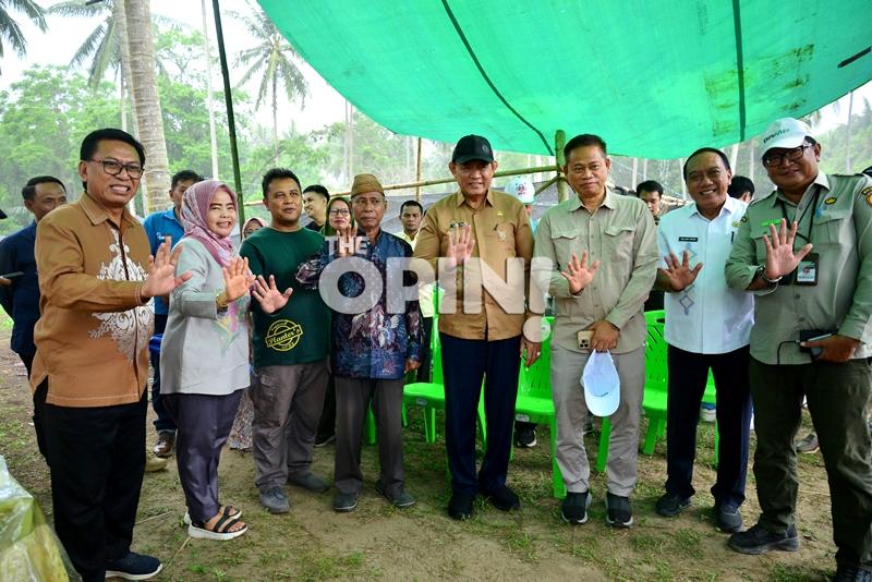 Gorontalo Siapkan Hilirisasi Kelapa, Kementan Salurkan 737 Ribu Bibit Unggul