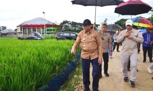 Presiden Prabowo Dijadwalkan Hadiri Puncak PENAS XVII di Gorontalo