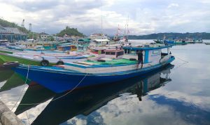 Hari Kedua Pencarian KM Jolor, Tim SAR Sisir Perairan Taliabu Cari Empat Awak Kapal Hari Kedua Pencarian KM Jolor, Tim SAR Sisir Perairan Taliabu Cari Empat Awak Kapal