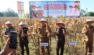 Bupati Erwin Dorong BUMDes dan Koperasi Desa Perkuat Ekonomi Petani Bupati Erwin Dorong BUMDes dan Koperasi Desa Perkuat Ekonomi Petani