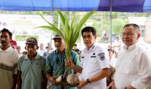 16 Poktan di Parimo Terima Bantuan Bibit Kelapa untuk Pengembangan 300 Hektare Lahan 16 Poktan di Parimo Terima Bantuan Bibit Kelapa untuk Pengembangan 300 Hektare Lahan