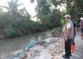 Wabup Parimo Tinjau Banjir Torue, Fokus Penanganan Tanggul Jebol dan Sawah Terdampak