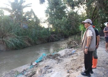 Wabup Parimo Tinjau Banjir Torue, Fokus Penanganan Tanggul Jebol dan Sawah Terdampak