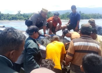 Speedboat Mister UN Ditemukan Tanpa Awak di Pesisir Parimo, Satu Nahkoda Masih Hilang