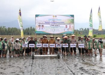 Metode Tanam PM-AAS Sasar 2.380 Hektare Lahan Persawahan di Parimo