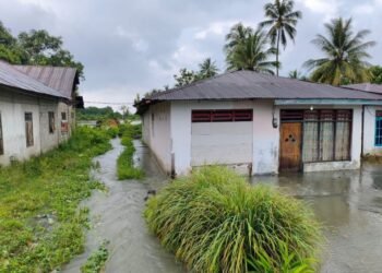 Puluhan Rumah dan Fasilitas Umum Tiga Desa di Parimo Terdampak Banjir