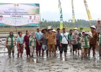 Optimistis Produktivitas Padi Bisa Naik Dua Kali Lipat, Bupati Parimo Dorong Perluasan Metode PM-AAS