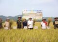Bupati Erwin Dorong Petani Balinggi Jadi Penguat Ketahanan Pangan Parimo