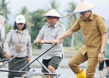 Parimo Jadi Prioritas, BRMP Sulteng Dorong Penguatan Produksi Pangan dan Teknologi Pertanian