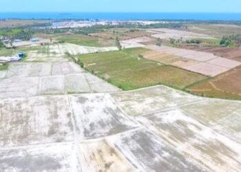 Kekeringan Landa 9 Desa di Parimo, 1.400 Hektare Lahan Terdampak