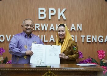 BPK Periksa Penataan Ruang dan Tata Kelola RSUD Anutapura, Pemkot Palu Siapkan Data