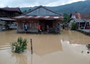 Banjir Kasimbar Belum Surut, Jembatan Peningka Putus dan 188 KK Terdampak