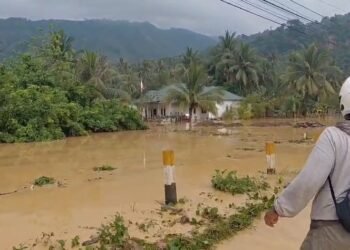 Banjir Rendam 4 Desa di Kasimbar, Jalan Trans Sulawesi Tertutup Material Longsor