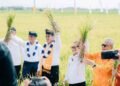 Banggai Surplus Beras, Mentan Amran: Contoh Baik Kolaborasi Gubernur dan Bupati