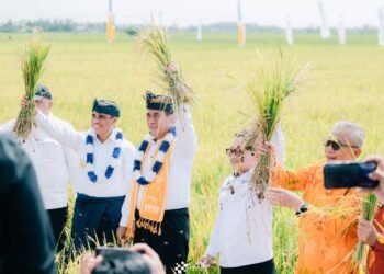Banggai Surplus Beras, Mentan Amran: Contoh Baik Kolaborasi Gubernur dan Bupati